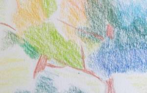 癒しの木 - サオリ