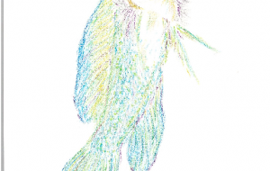 カエルアマダイ - 雪柳 