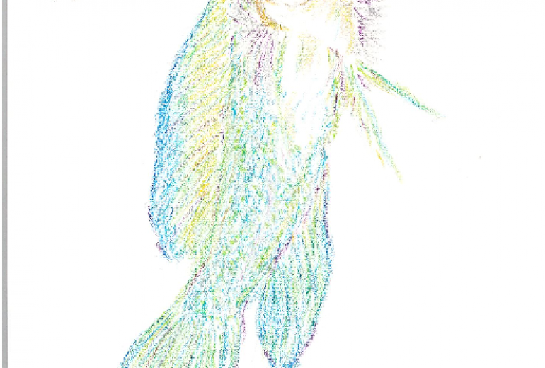 カエルアマダイ