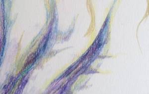 命を生む闇と太陽 - サオリ