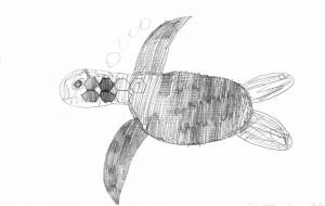 ウミガメの夢 - ツバサ 