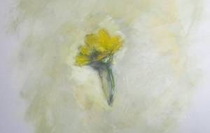 秋桜アート(思うよ!障がい者がアート描くという言) - 真鍋哲地