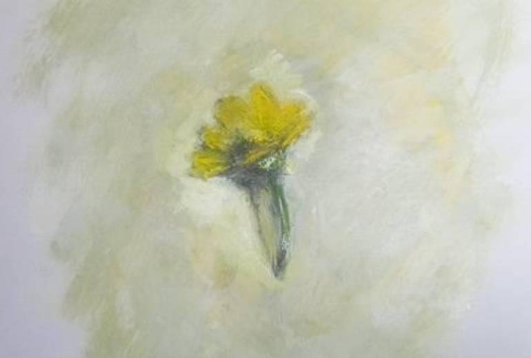 秋桜アート（思うよ！障がい者がアート描くという言）