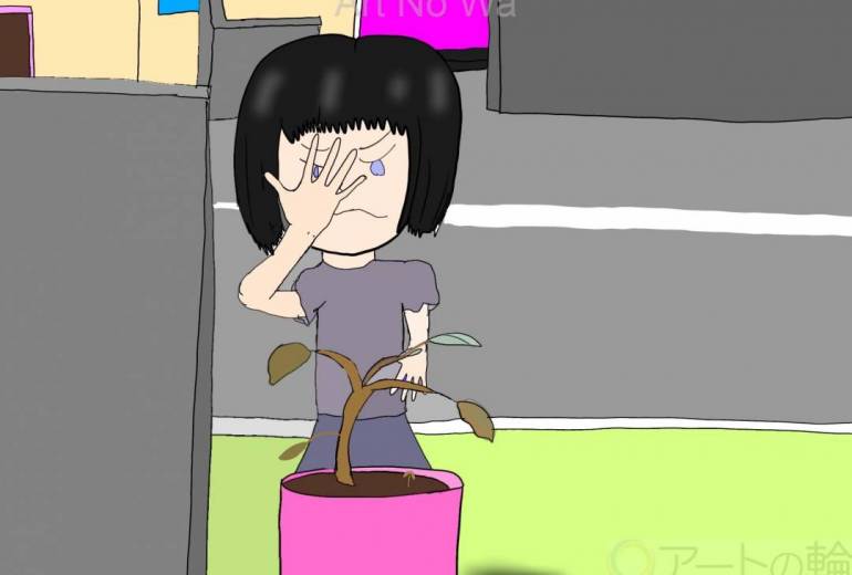 水やり怠ってたら枯れた