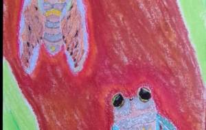 ジージー蝉話 - 明紅葉 