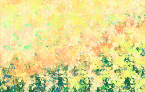 菜の花畑 - ヒカル