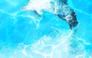 イルカと - ヒカル