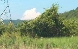 作品のお詫び - 真鍋哲地 