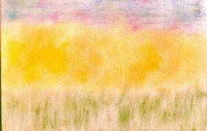 ひまわり畑 - and me 