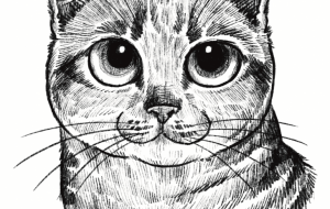 こてっちゃん - Yukari 