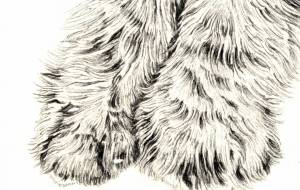 あしもとそろえて - 山田貴裕