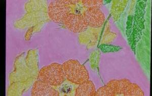 真夏さ つたう凌霄花 - 明紅葉 