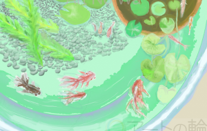 金魚 - ゆふーち 