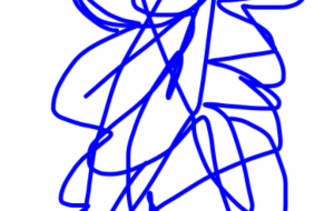 アール・ブリュット挑戦 - 笹谷正博 