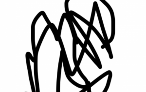 アール・ブリュット挑戦 - 笹谷正博