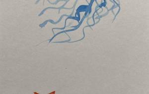 クラゲとヒトデ - みちる