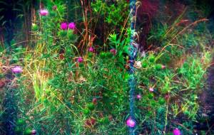 セレンディピティ - Yukihiro Sato 