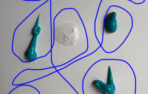 アール・ブリュット挑戦 - 笹谷正博