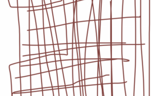 アール・ブリュット挑戦 - 笹谷正博 