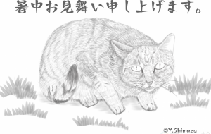 猫の暑中お見舞い - 島津康雄 