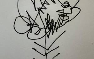 アール・ブリュット挑戦 - 笹谷正博