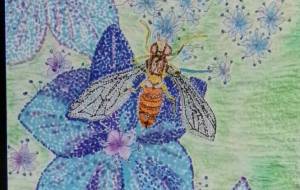 ハナアブさん、やっぱり紫陽花が好きなんだね。 - 明紅葉 