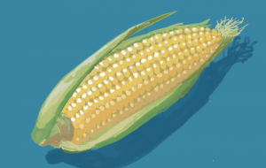 とうもろこし - Hagane 