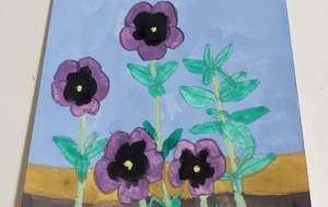 パンジー - 金谷茜