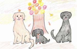 自分が大好きな犬種 - 璃亞家(りあけ)