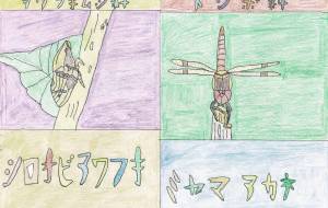 シロオビアワフキが草にたかっている/ミヤマアカネが枝にくっついている - 虫太郎