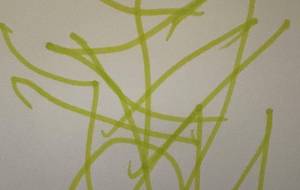 アール・ブリュット挑戦 - 笹谷正博 