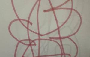 アール・ブリュット挑戦 - 笹谷正博