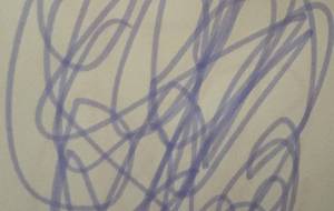 アール・ブリュット挑戦 - 笹谷正博