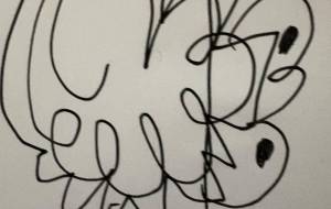 アール・ブリュット挑戦 - 笹谷正博 