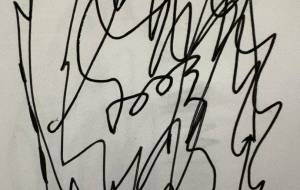 アール・ブリュット挑戦 - 笹谷正博