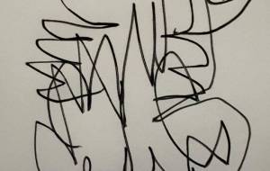 アール・ブリュット挑戦 - 笹谷正博 