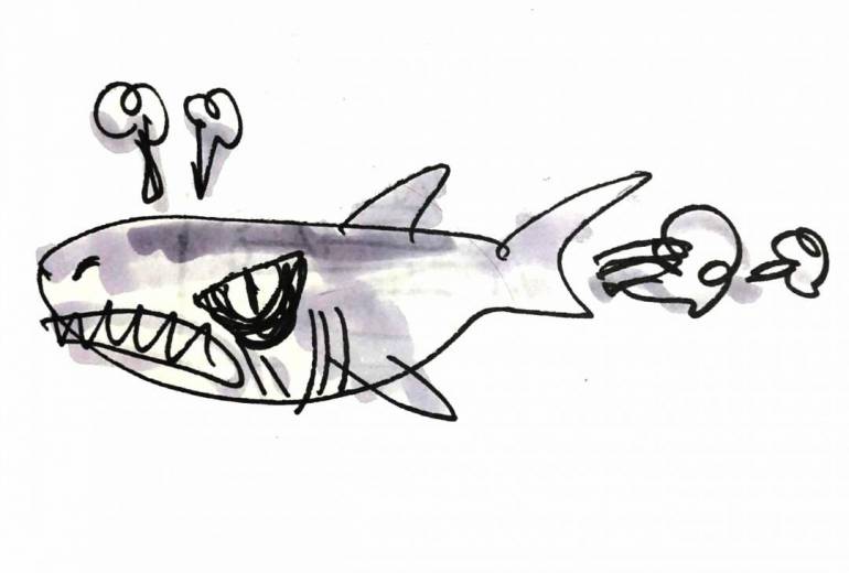 Angry shark