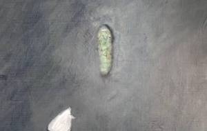 一生 - 真鍋哲地