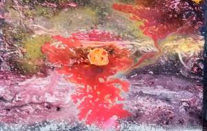 うみにゆうひ - 久保田 俊