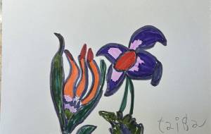 ふらわー2 - taiga 