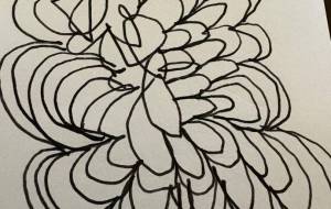 アール・ブリュット挑戦 - 笹谷正博 