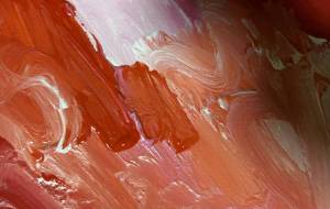 カラー - 笹谷正博 