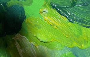 カラー - 笹谷正博