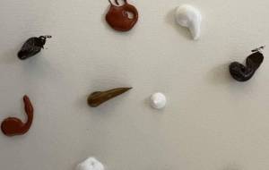 カラー - 笹谷正博 