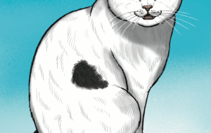 のらねこ - Yukari