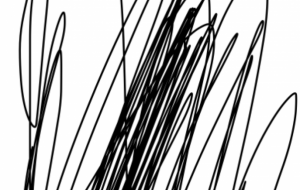 アール・ブリュット挑戦 - 笹谷正博 