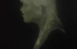 叶わなくても、愛したい（一人の女性を愛して、幸せになりたい） - 真鍋哲地 