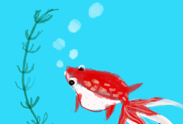 金魚