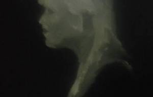 僕の好きなひと、青い、着物とサングラスがにあうひと - 真鍋哲地 