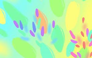 フルーツのど飴 - onoco 